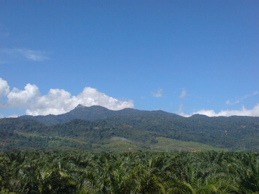 Gunung Jerai