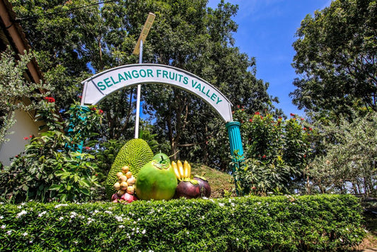 Selangor Fruits Valley