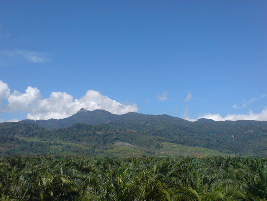 Gunung Jerai